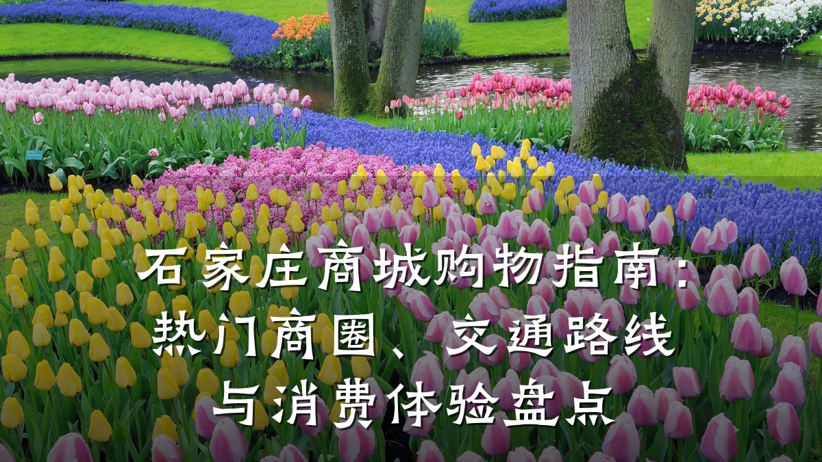 石家庄商城购物指南：热门商圈、交通路线与消费体验盘点