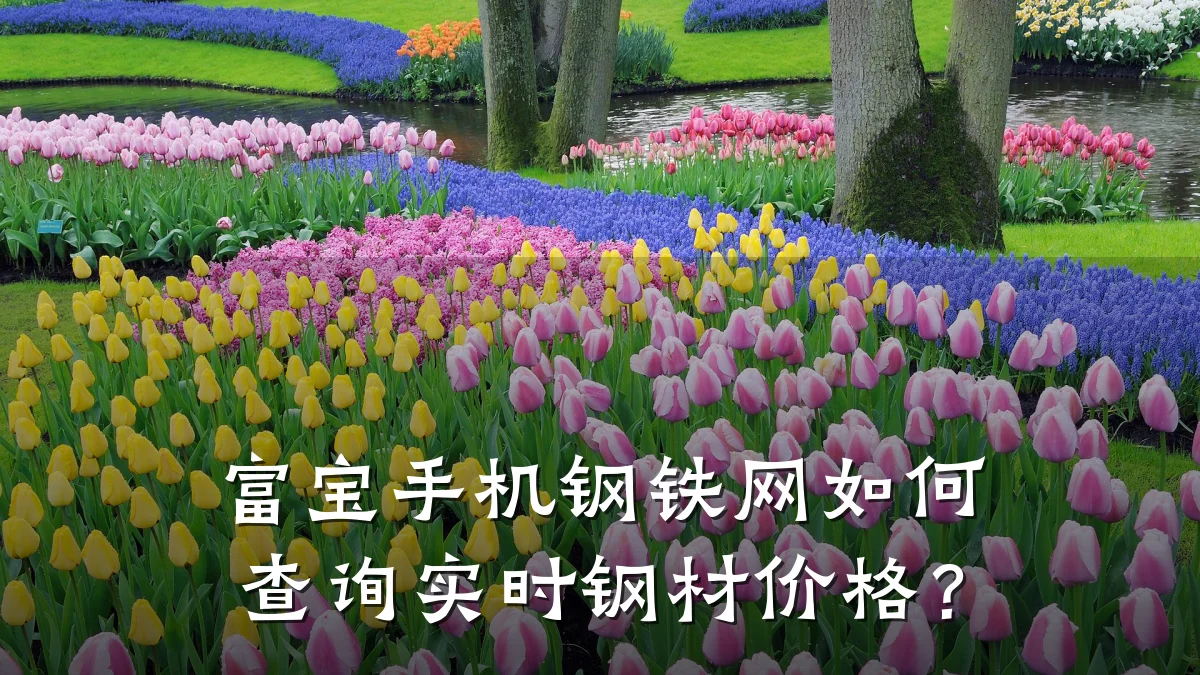 富宝手机钢铁网如何查询实时钢材价格?