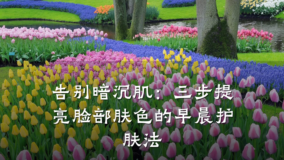 告别暗沉肌:三步提亮脸部肤色的早晨护肤法