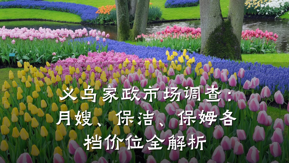 义乌家政市场调查：月嫂、保洁、保姆各档价位全解析