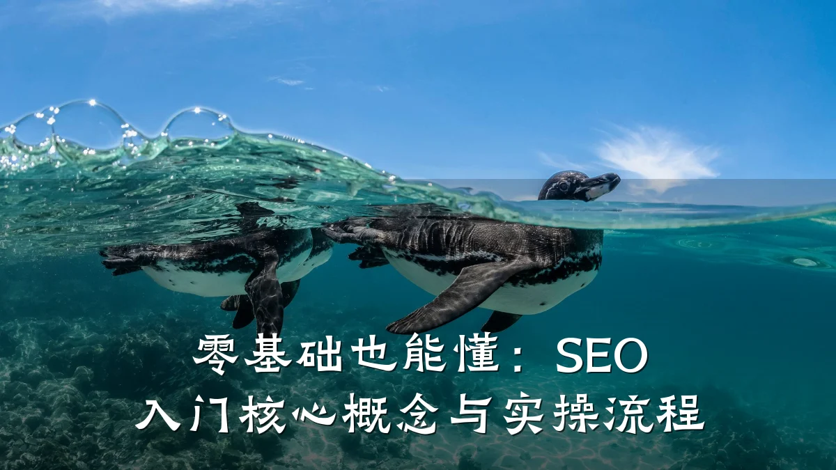 零基础也能懂:SEO 入门核心概念与实操流程