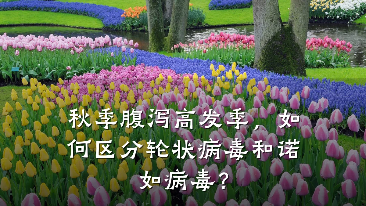 秋季腹泻高发季,如何区分轮状病毒和诺如病毒?