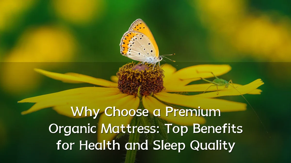 Why Choose a Premium Organic Mattress: Top Benefits for Health and Sleep Quality