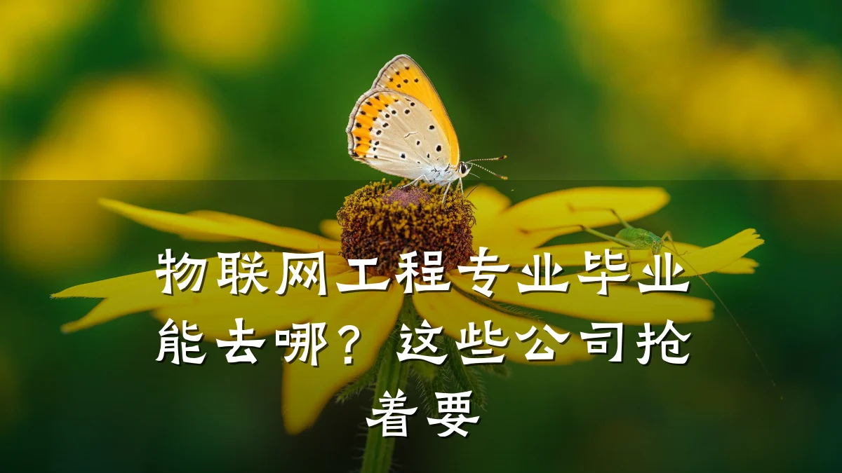物联网工程专业毕业能去哪?这些公司抢着要