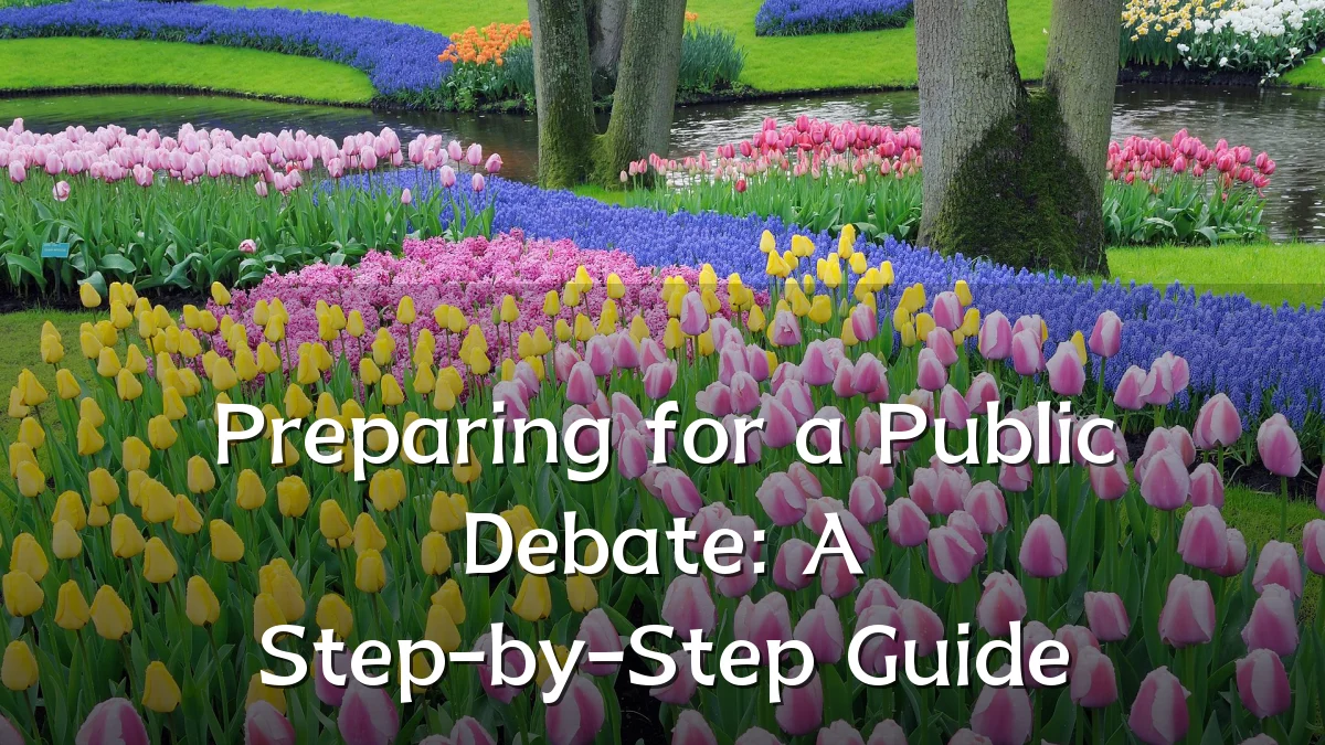 Preparing for a Public Debate: A Step-by-Step Guide
