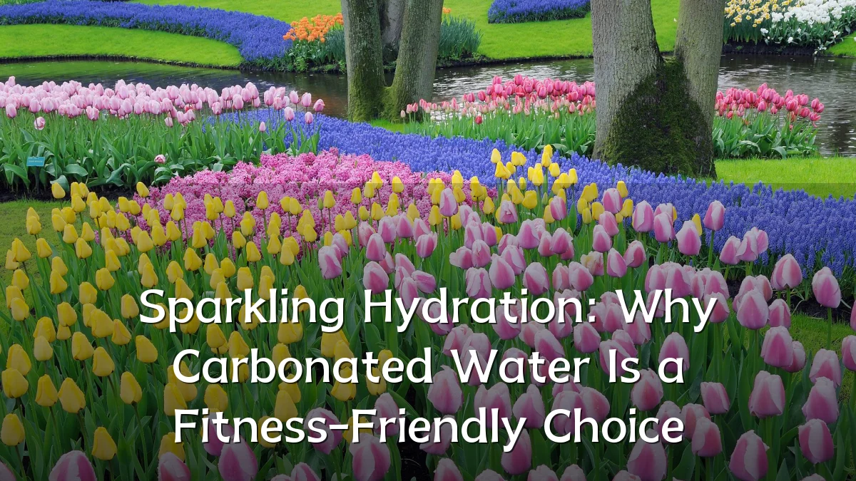 Sparkling Hydration: Why Carbonated Water Is a Fitness-Friendly Choice