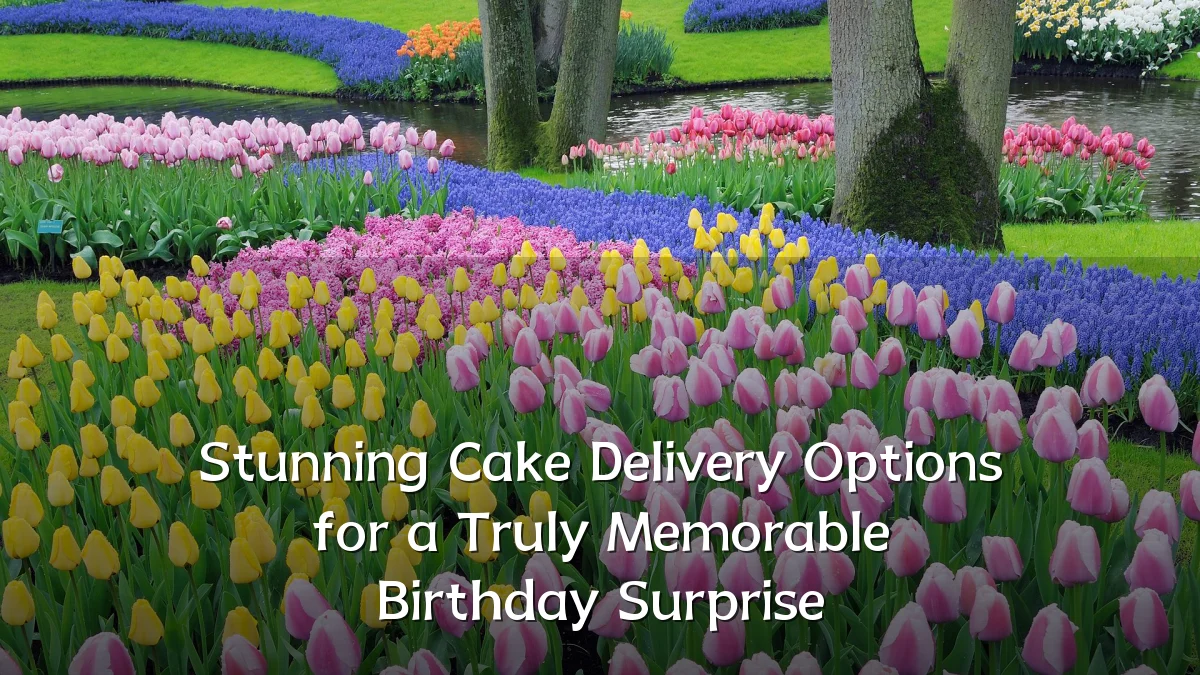 Stunning Cake Delivery Options for a Truly Memorable Birthday Surprise