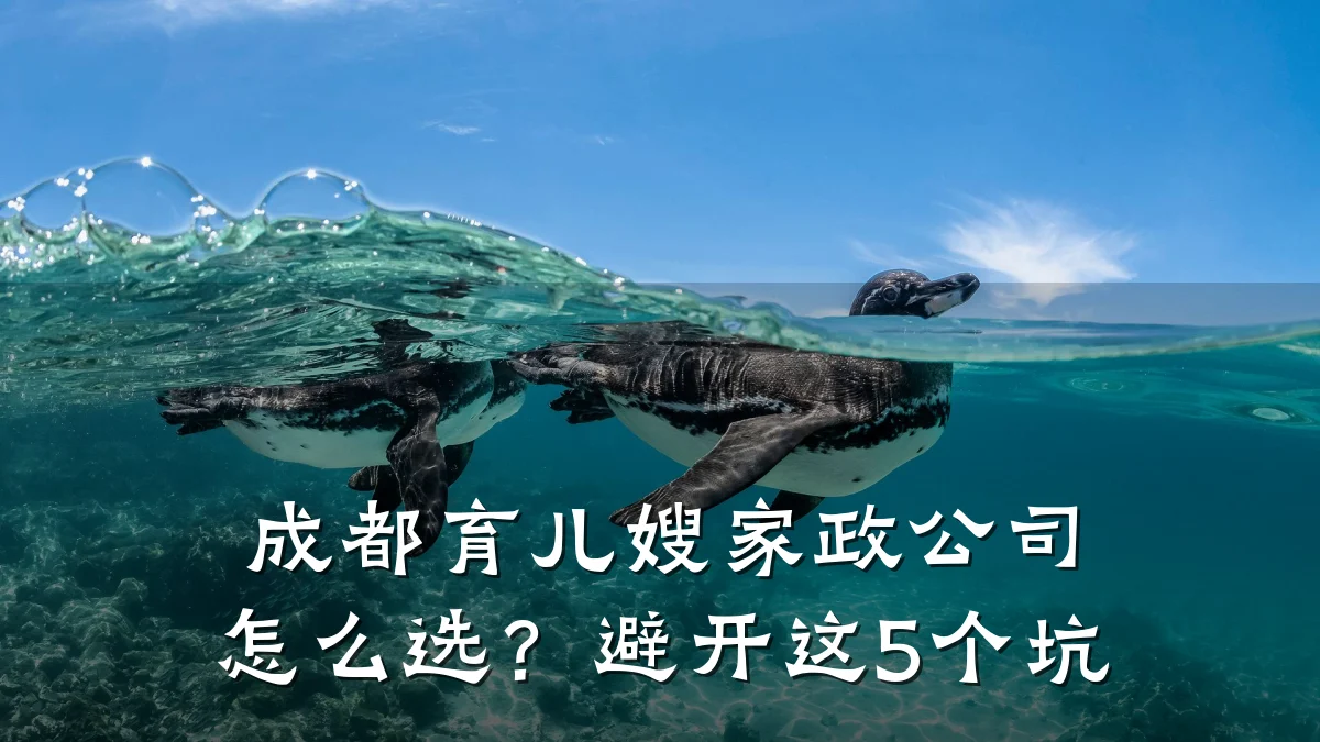 成都育儿嫂家政公司怎么选？避开这5个坑