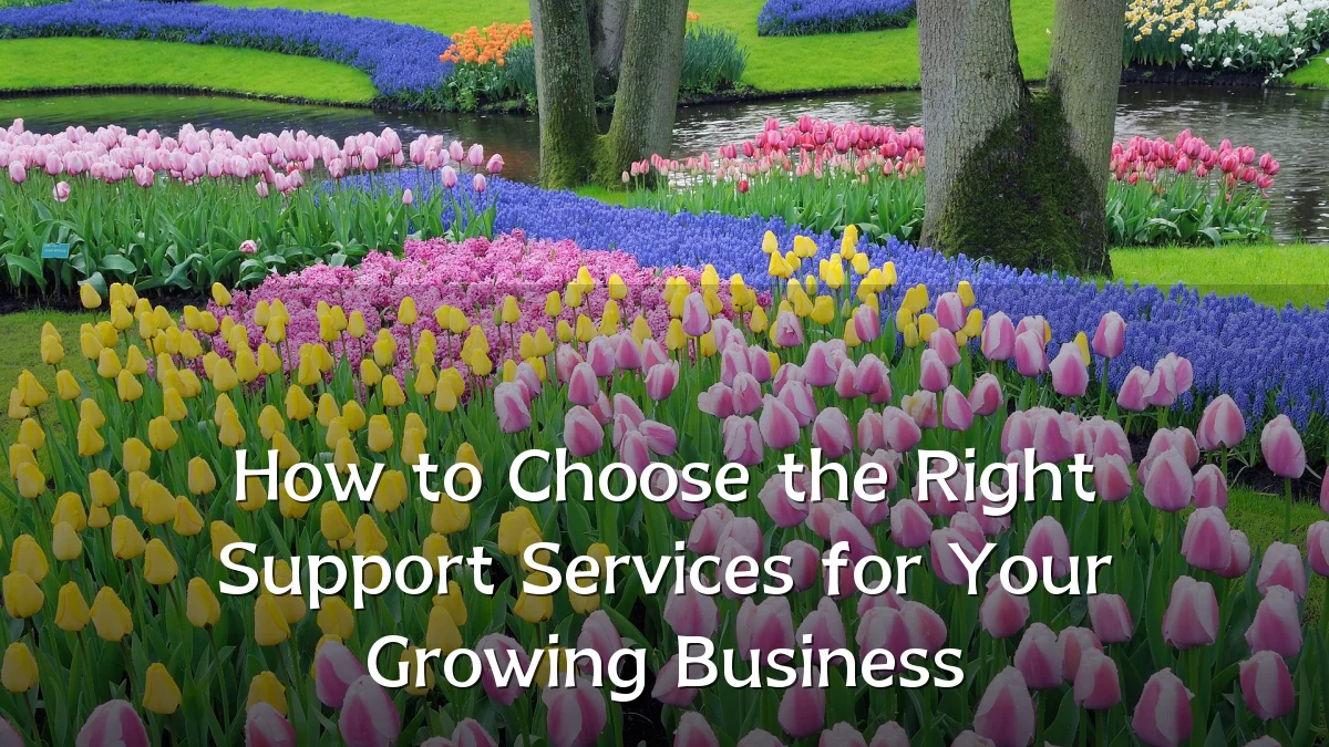 How to Choose the Right Support Services for Your Growing Business