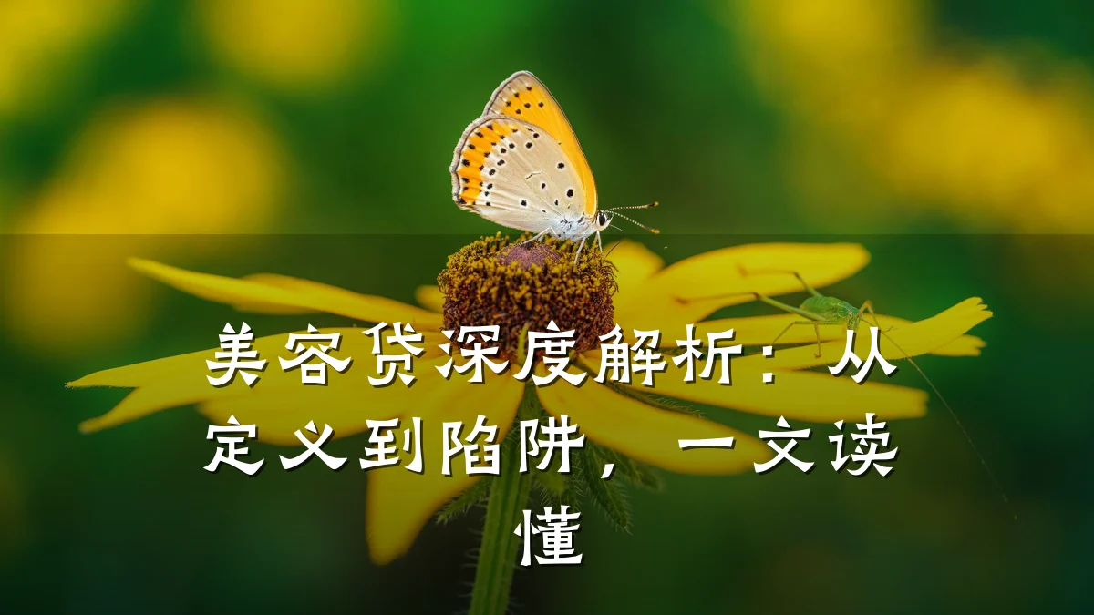 美容贷深度解析:从定义到陷阱,一文读懂