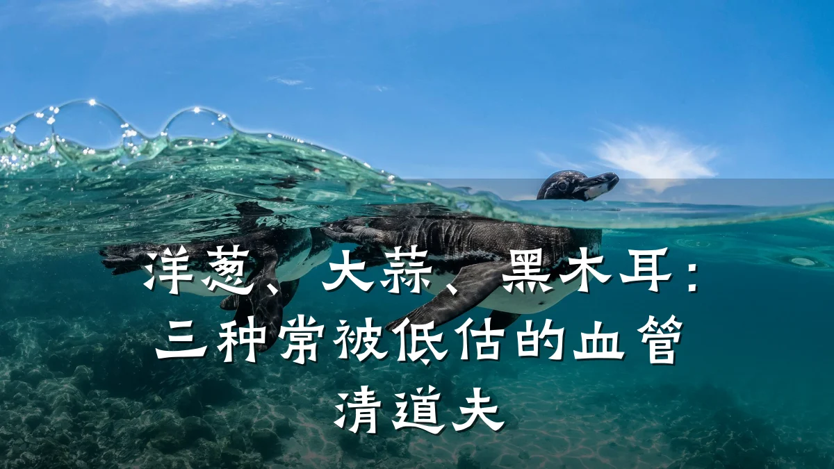 洋葱、大蒜、黑木耳:三种常被低估的血管清道夫