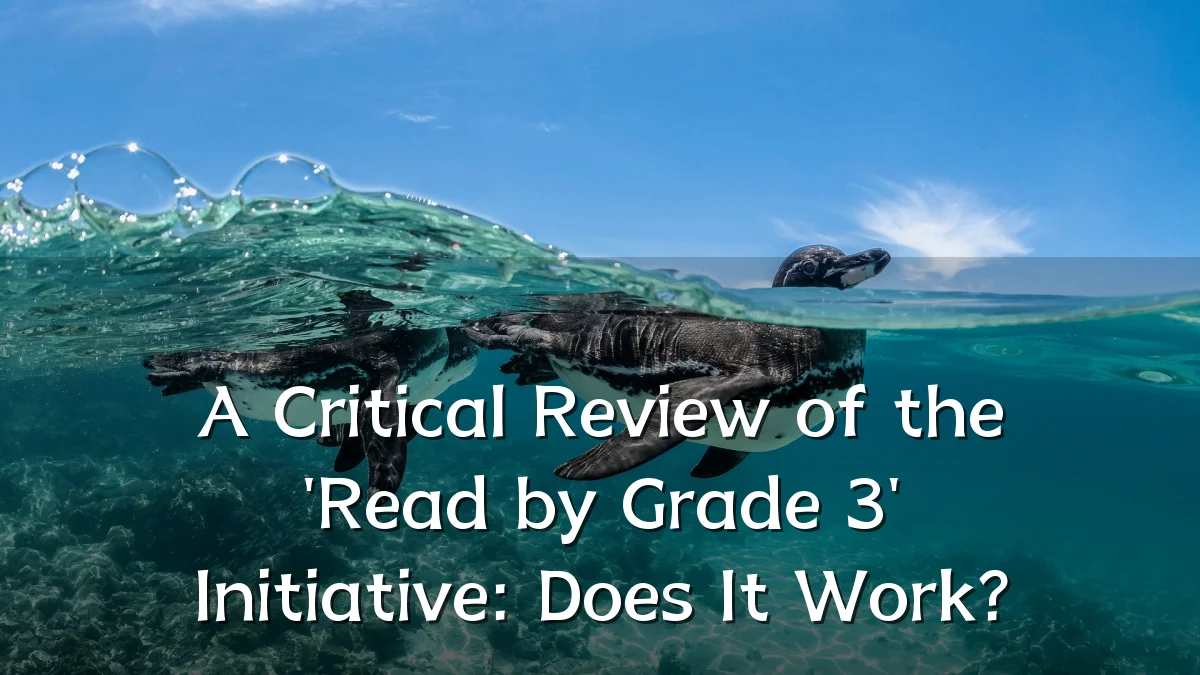A Critical Review of the 'Read by Grade 3' Initiative: Does It Work?