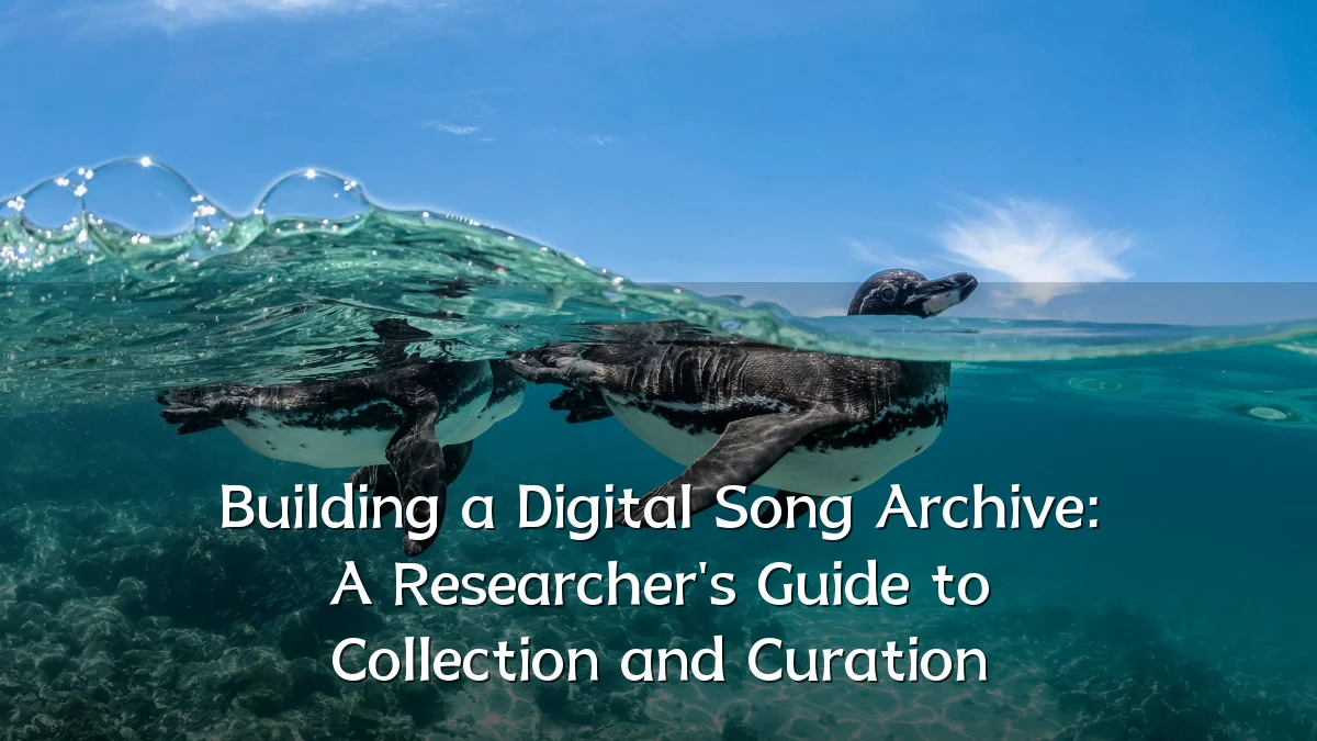 Building a Digital Song Archive: A Researcher's Guide to Collection and Curation