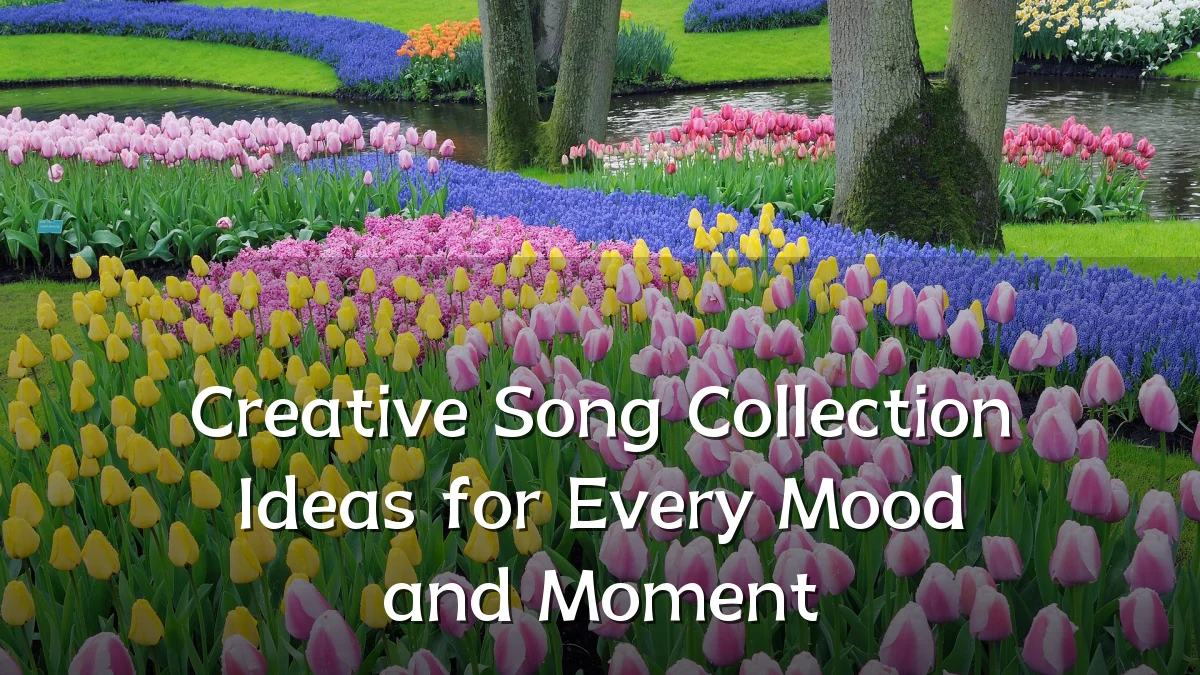 Creative Song Collection Ideas for Every Mood and Moment