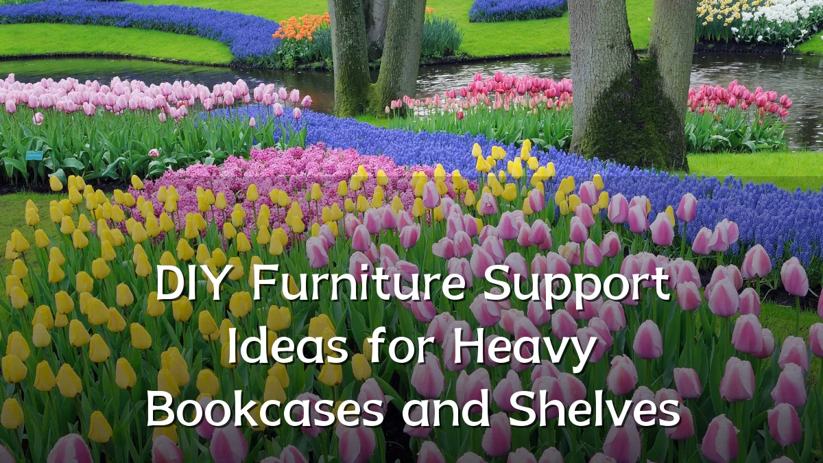 DIY Furniture Support Ideas for Heavy Bookcases and Shelves