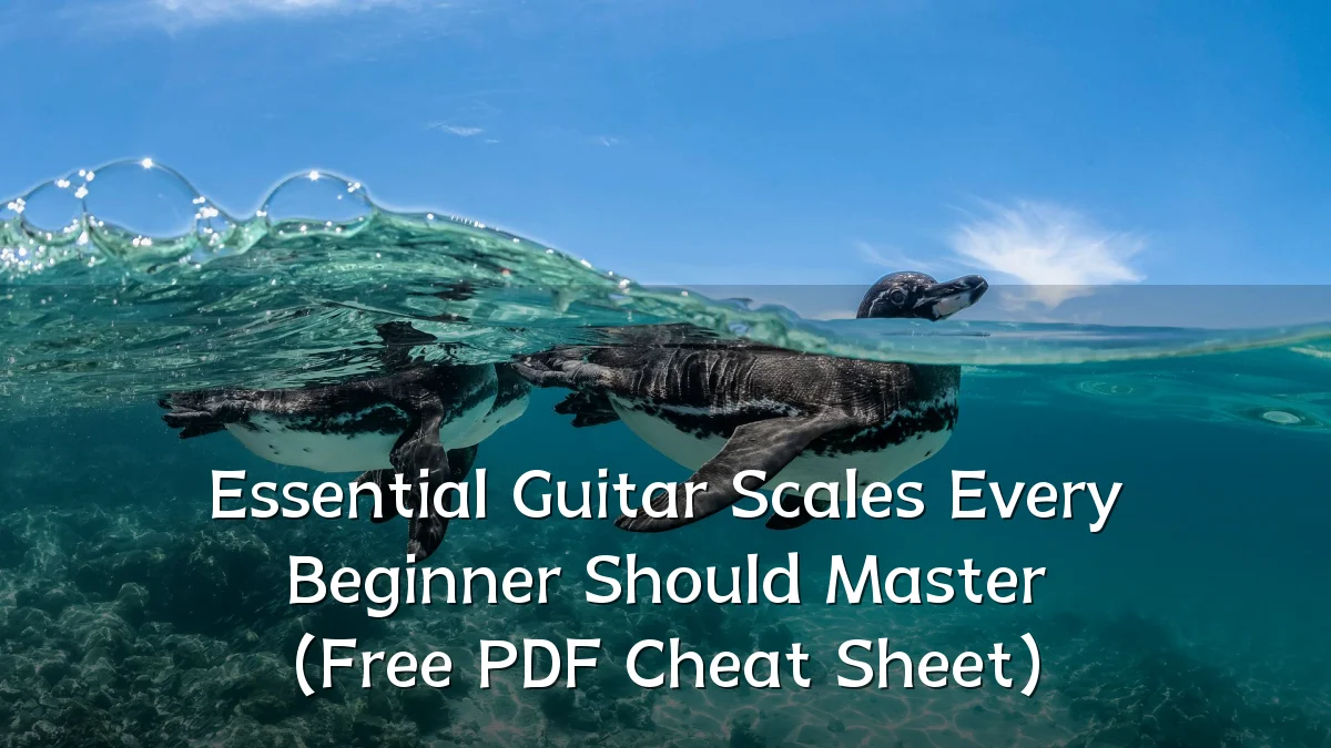 Essential Guitar Scales Every Beginner Should Master (Free PDF Cheat Sheet)