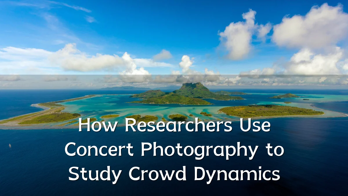 How Researchers Use Concert Photography to Study Crowd Dynamics
