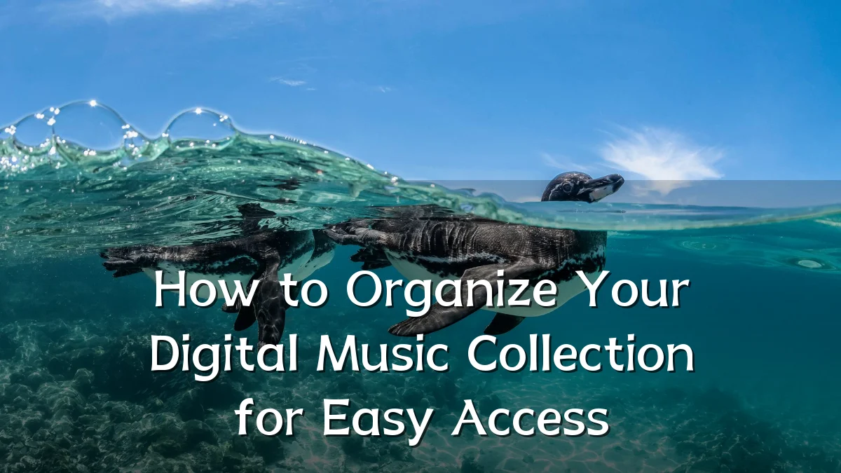 How to Organize Your Digital Music Collection for Easy Access