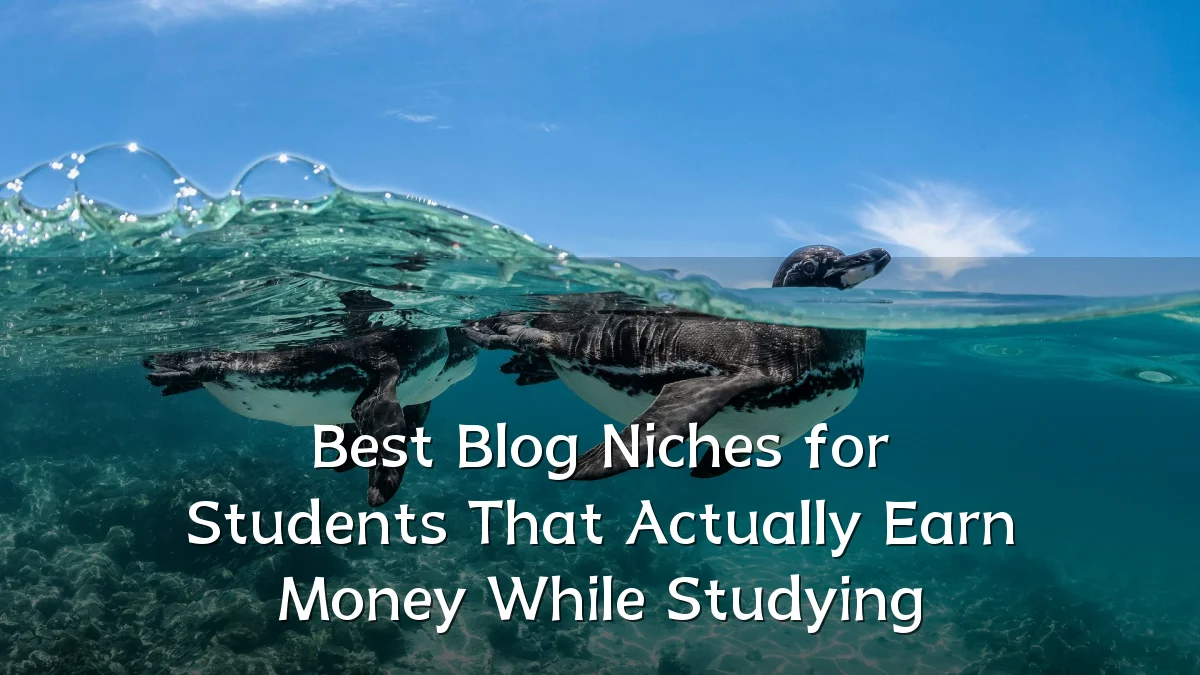 Best Blog Niches for Students That Actually Earn Money While Studying