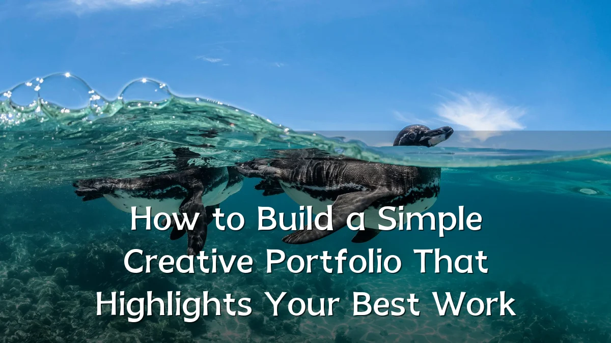 How to Build a Simple Creative Portfolio That Highlights Your Best Work