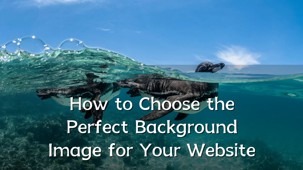 How to Choose the Perfect Background Image for Your Website