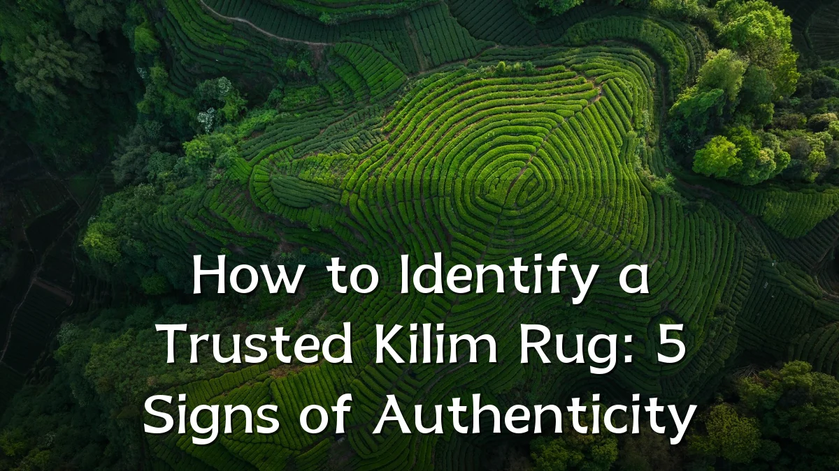 How to Identify a Trusted Kilim Rug: 5 Signs of Authenticity