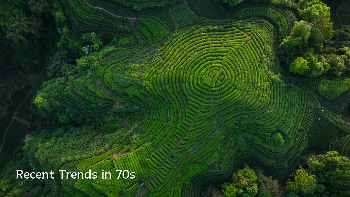 Recent Trends in 70s