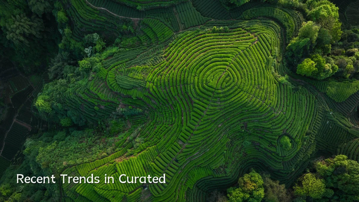 Recent Trends in Curated