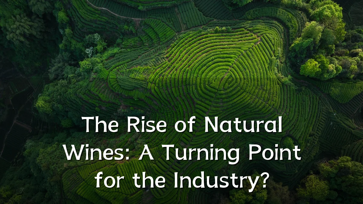 The Rise of Natural Wines: A Turning Point for the Industry?
