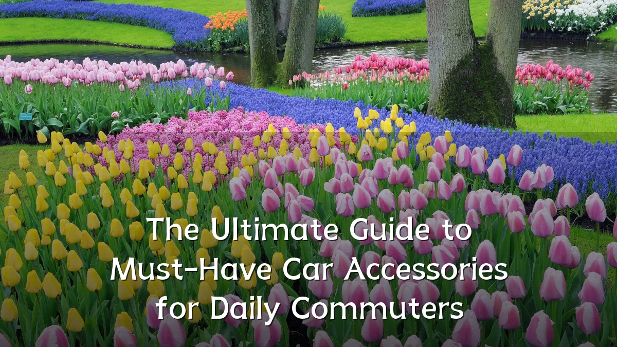 The Ultimate Guide to Must-Have Car Accessories for Daily Commuters