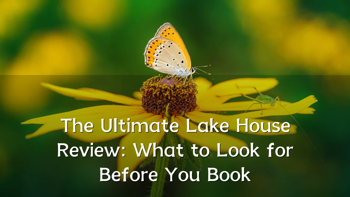 The Ultimate Lake House Review: What to Look for Before You Book
