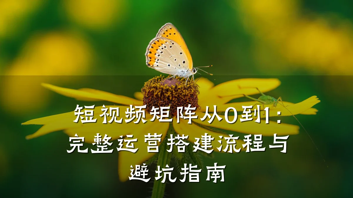 短视频矩阵从0到1：完整运营搭建流程与避坑指南