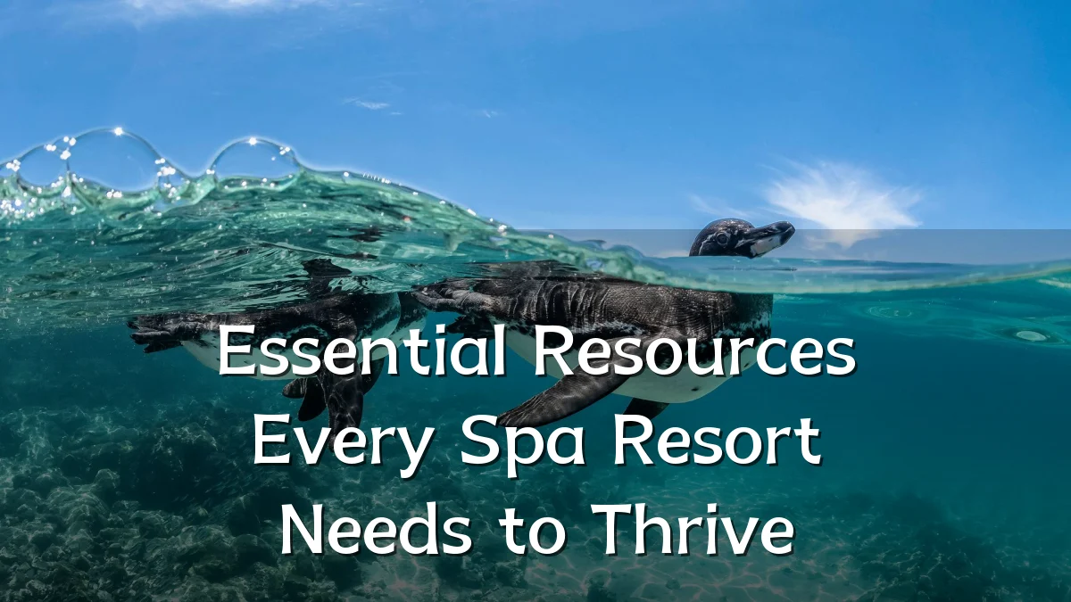 Essential Resources Every Spa Resort Needs to Thrive