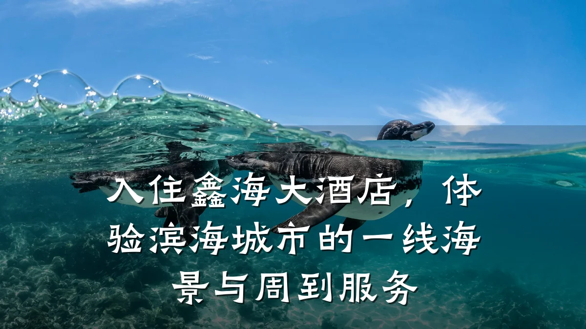 入住鑫海大酒店，体验滨海城市的一线海景与周到服务