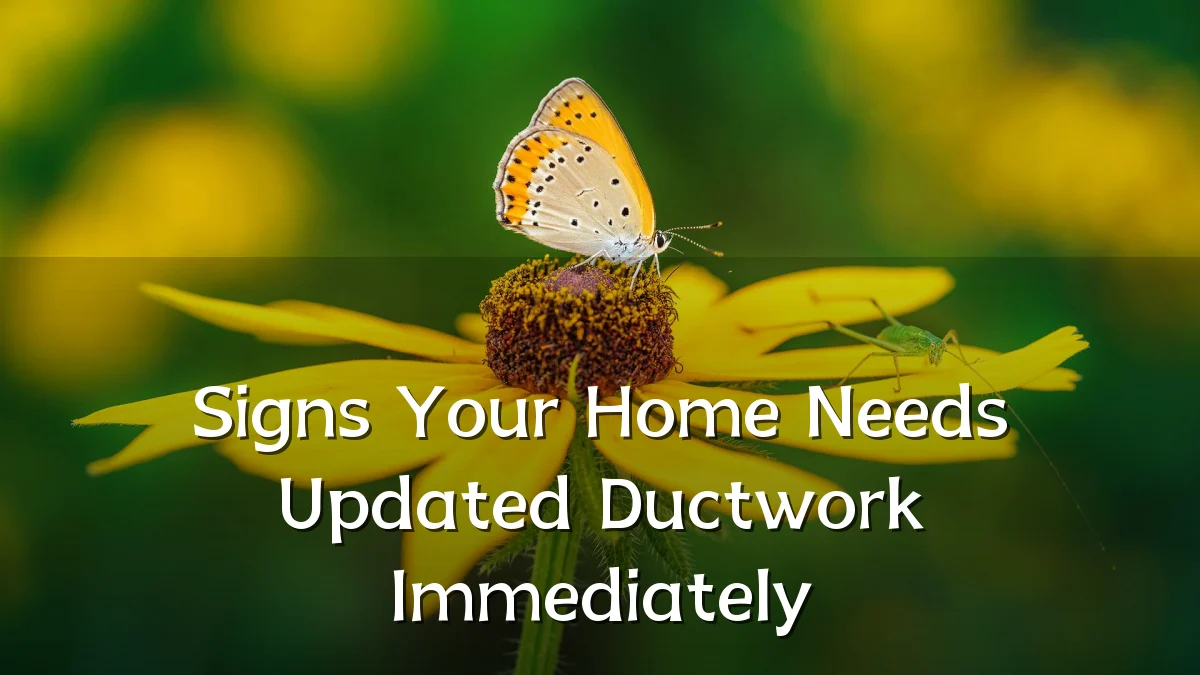 Signs Your Home Needs Updated Ductwork Immediately