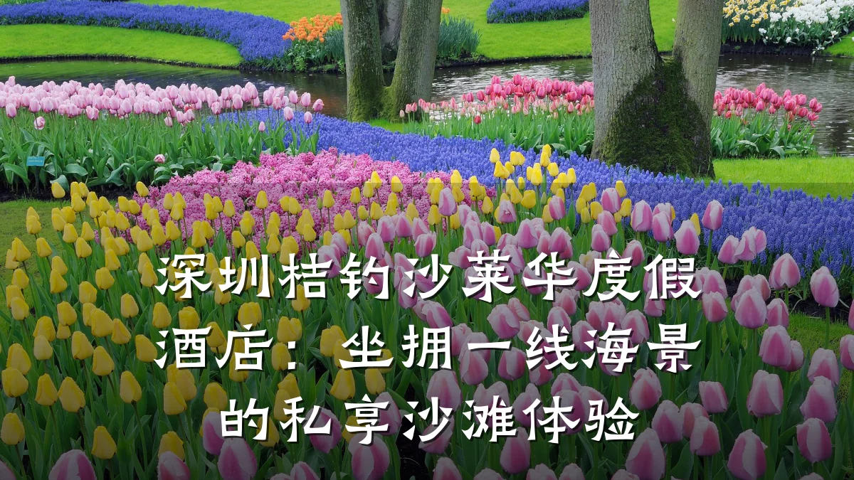深圳桔钓沙莱华度假酒店:坐拥一线海景的私享沙滩体验