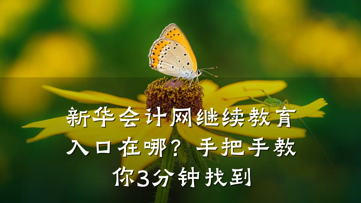 新华会计网继续教育入口在哪?手把手教你3分钟找到
