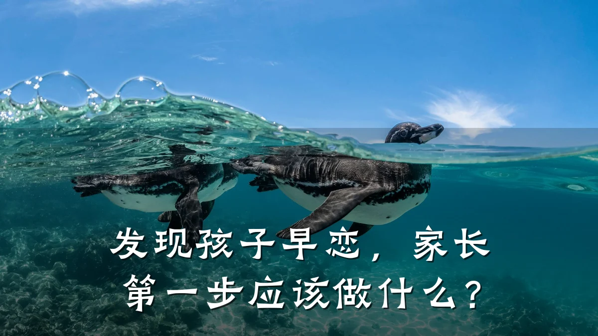 发现孩子早恋，家长第一步应该做什么？