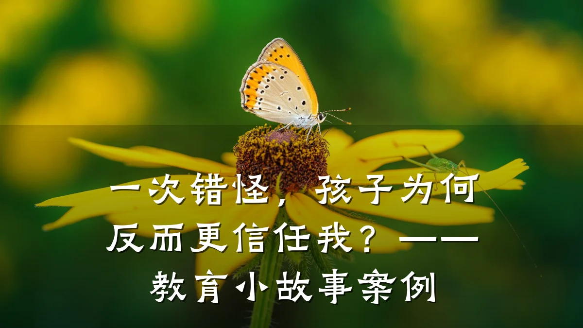 一次错怪，孩子为何反而更信任我？——教育小故事案例