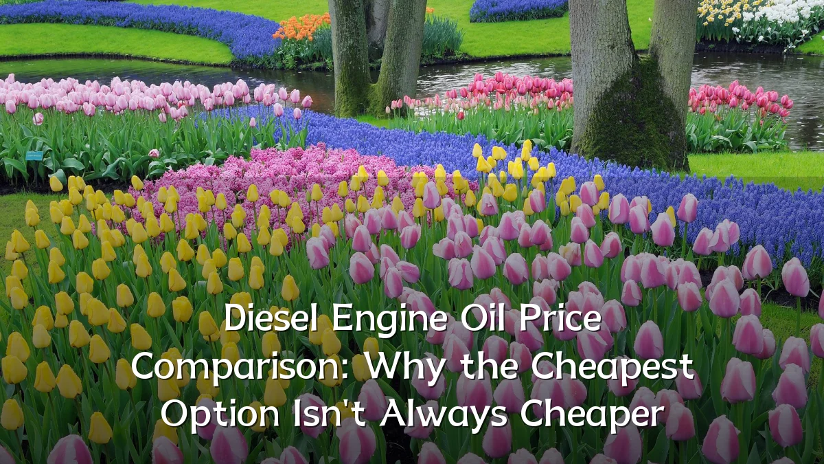 Diesel Engine Oil Price Comparison: Why the Cheapest Option Isn't Always Cheaper