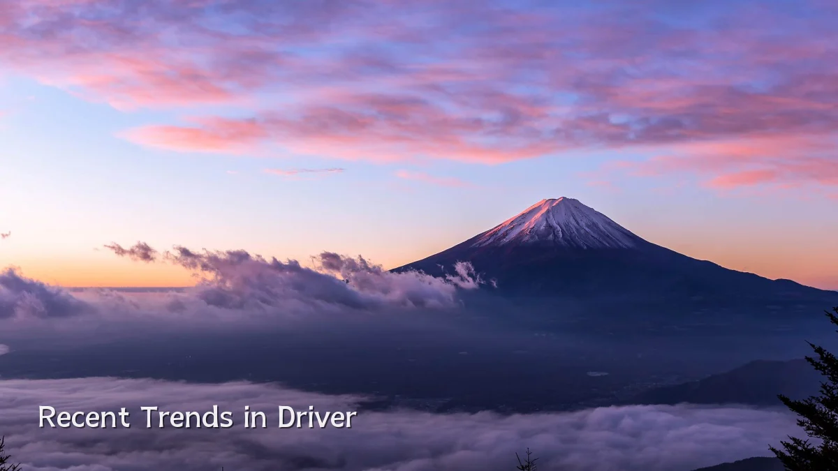 Recent Trends in Driver