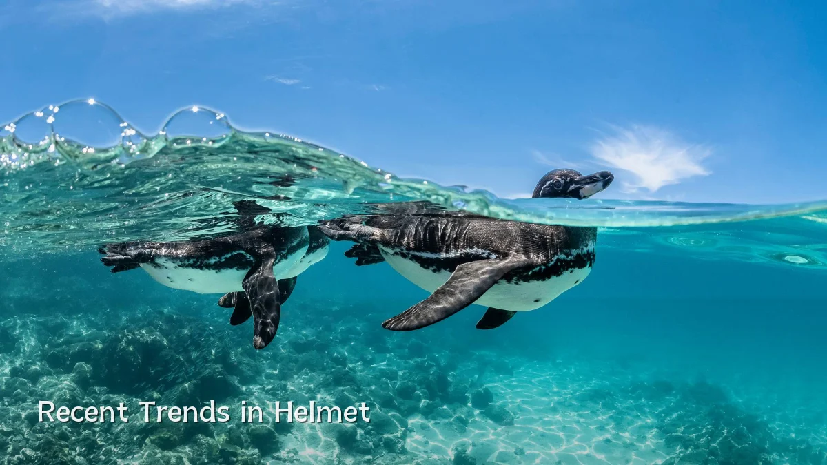 Recent Trends in Helmet